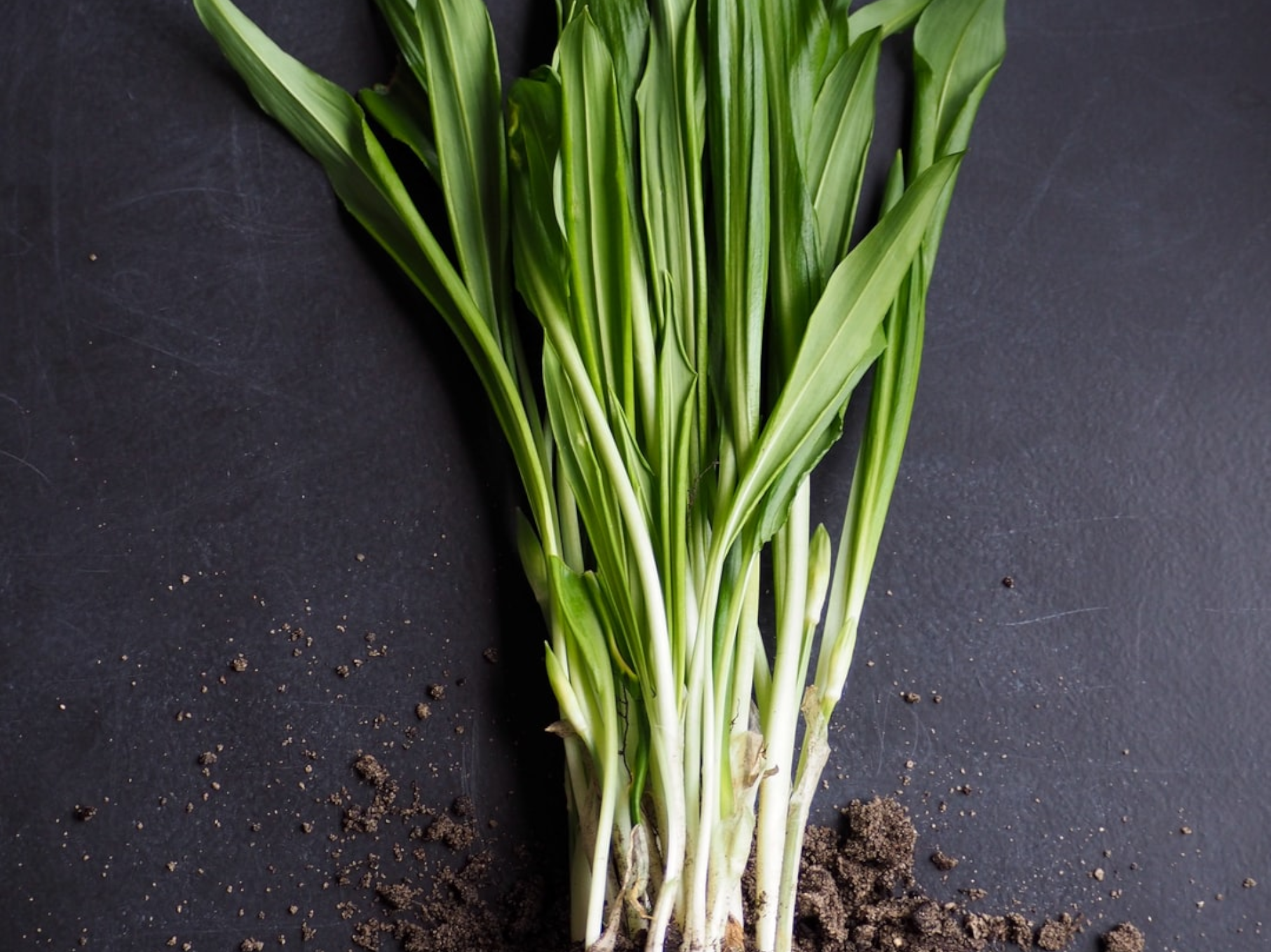 Smoothing Body Polish