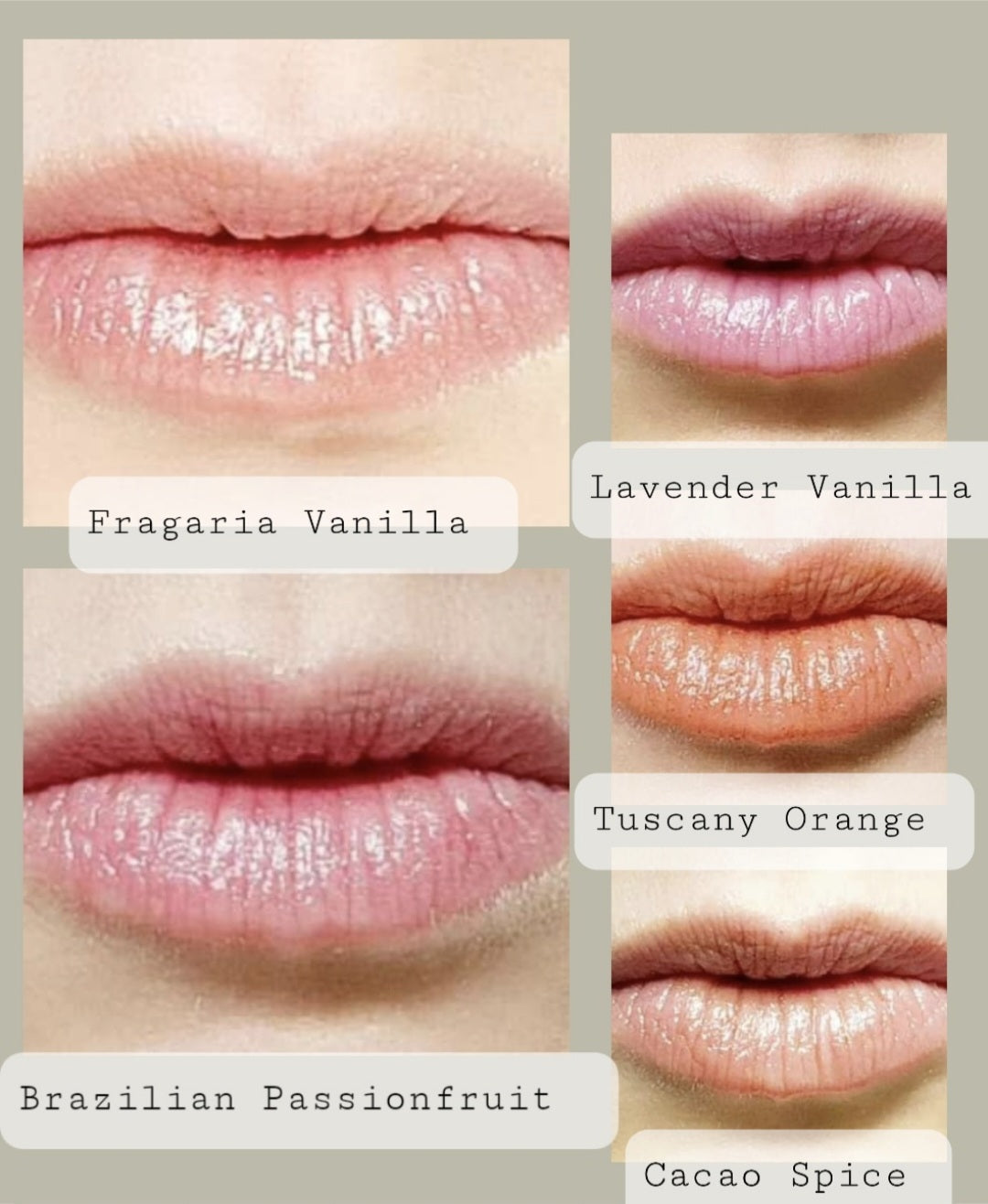 Fragaria & West Indian Vanilla Tinted Lip Balm